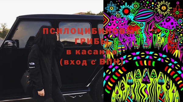 mix Белокуриха