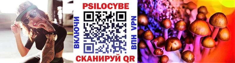 shop официальный сайт  Ворсма  Галлюциногенные грибы Cubensis 